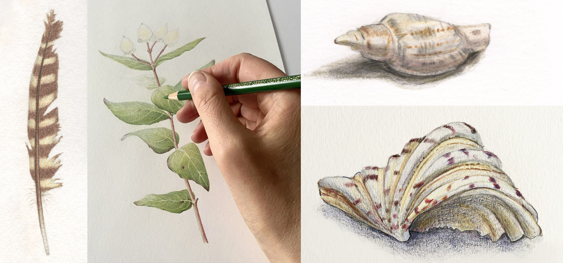 Workshop Tekenen Schilderen