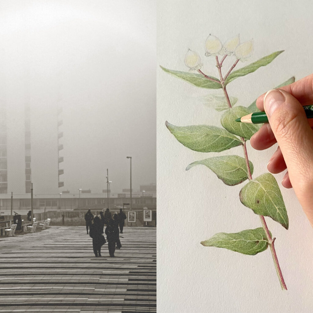 Workshops Volwassenen